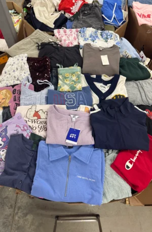 Wholesale Target women clothes pallets for sale